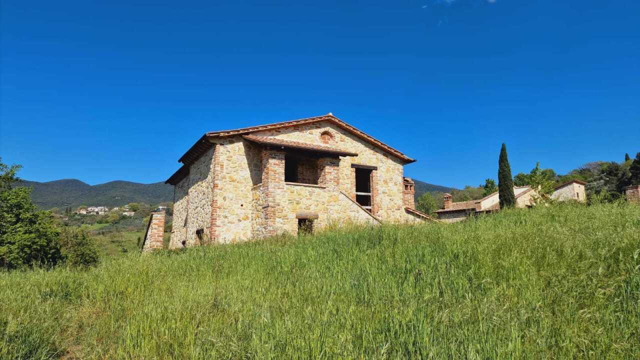 Vendita Multivani, Montecchio foto