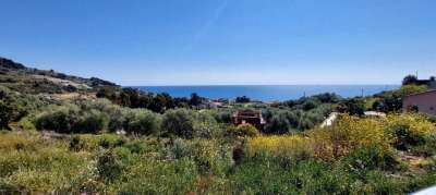 Sale Trivani, Cipressa