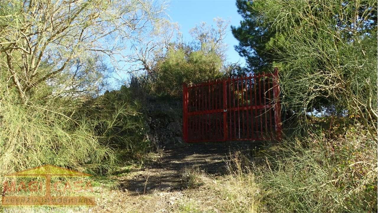 Vendita vendita, Biancavilla foto