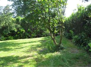 Vendita vendita, Olgiate Molgora