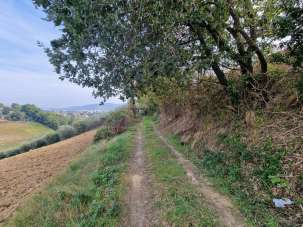 Vendita Terreno, Monsampolo del Tronto