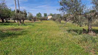 Venta Terreno, Pianella