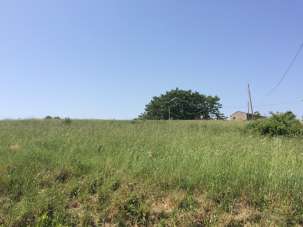 Venta Terreno, Colonnella