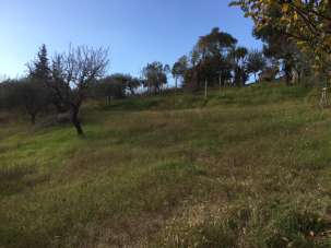 Vendita Terreno, Monsampolo del Tronto