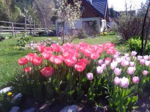 Venta Villa, Malborghetto Valbruna Venta Villa, Malborghetto Valbruna