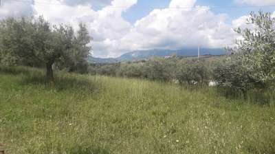 Vendita Terreno, Alanno