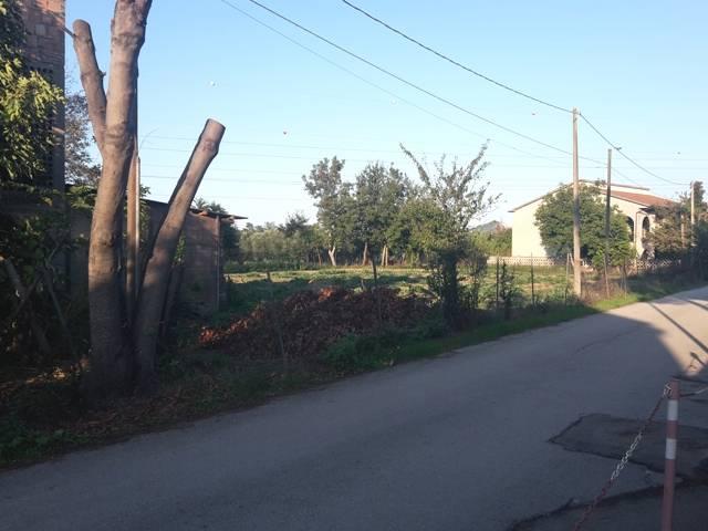 Vendita Terreno, Cepagatti foto