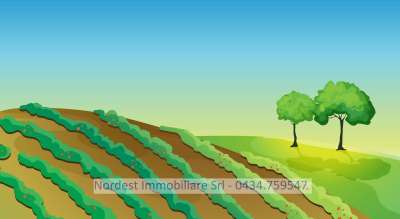 Vendita Terreno, Gaiarine Vendita Terreno, Gaiarine