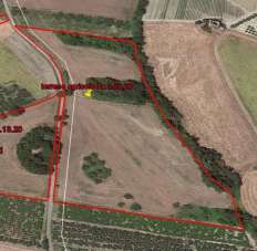 Vendita Terreno, Cupello