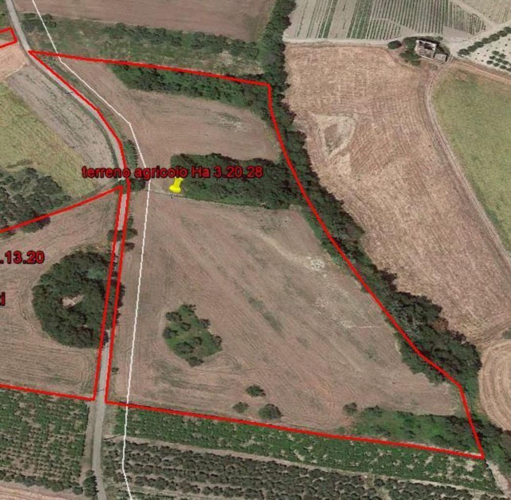 Vendita Terreno, Cupello foto
