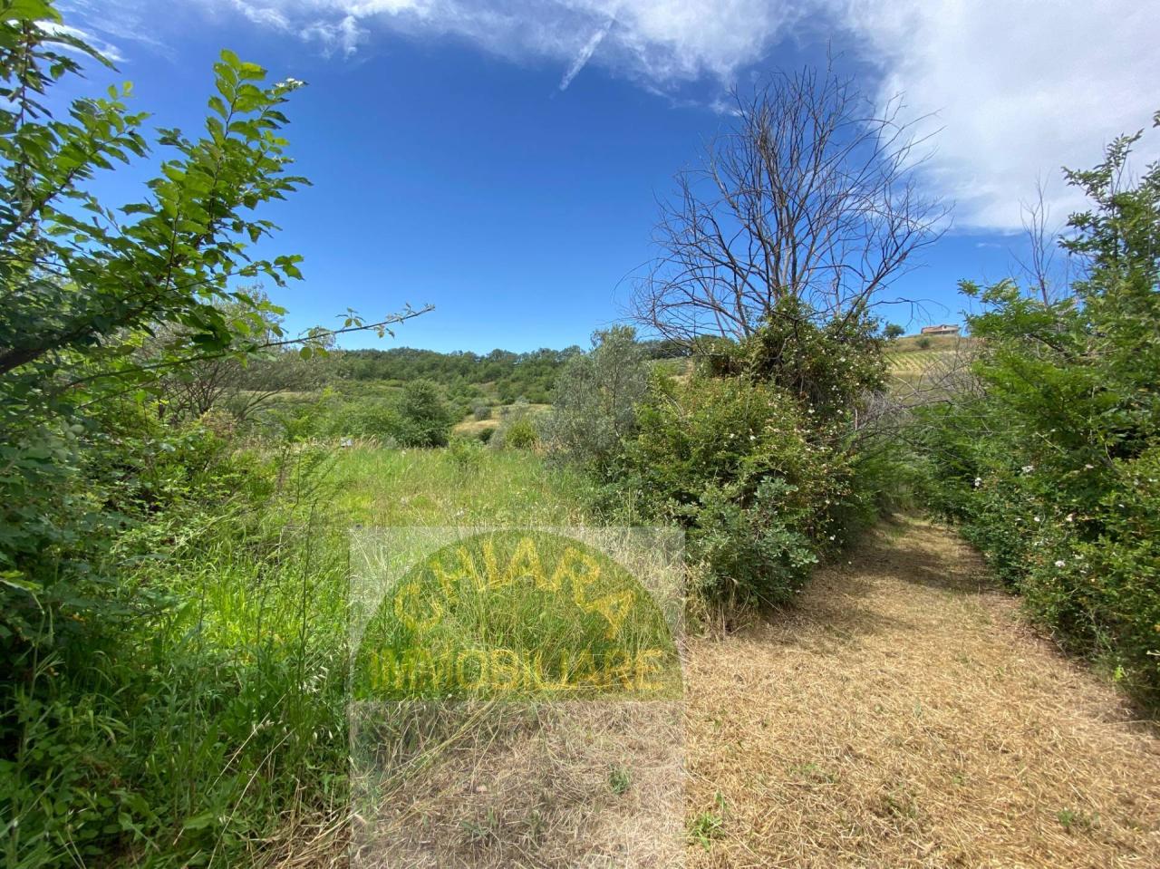 Vendita Rustico, Cupello foto