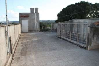 Venta Casas, Floridia