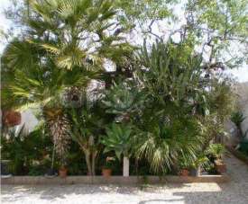 Affitto affitto, Petrosino