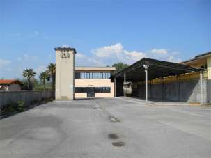 Vendita vendita, Capannori