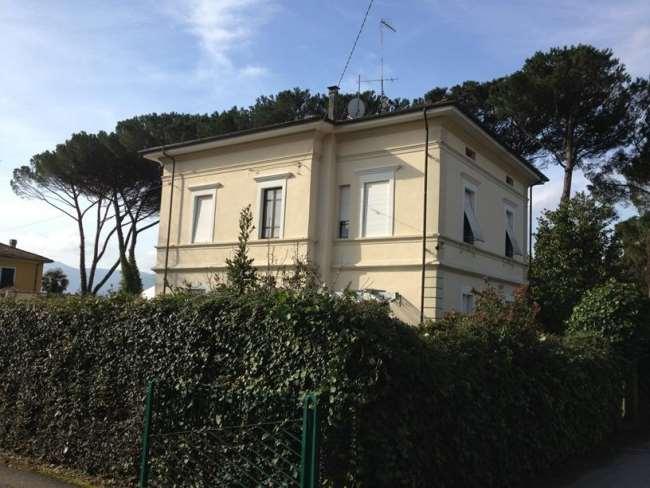 Vendita vendita, Barga foto