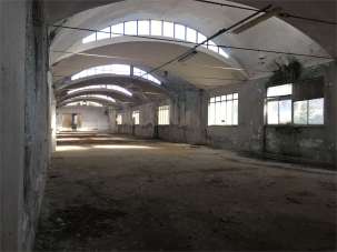 Vendita vendita, Porcari