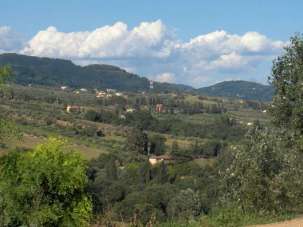 Vendita vendita, Capannori