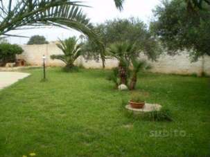 Rent affitto, Petrosino