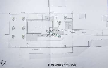 Vendita vendita, Porcari