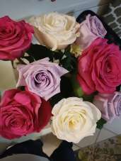 Affitto false, Firenze