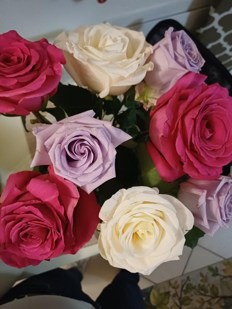 Affitto false, Firenze foto