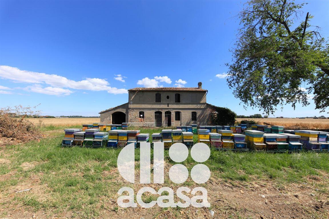 Vendita Rustico / Casale, Forli foto