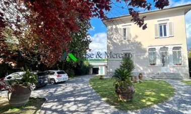 Vendita Multivani, Lucca