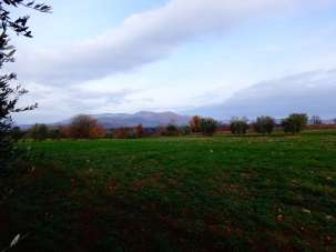 Vendita Altri immobili, Sorano