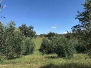 Vendita Altri immobili, Sorano