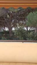 Vendita Pentavani, Follonica