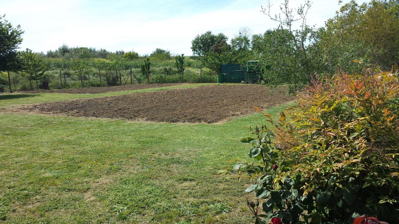 Vendita Altri immobili, Follonica foto