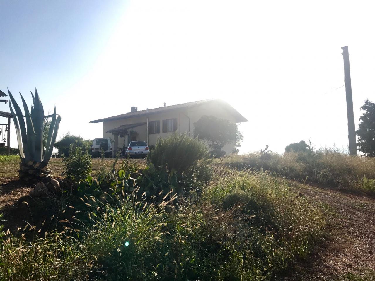 Vendita Multivani, Manciano foto