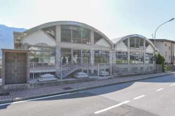 Vendita Multivani, Pescate