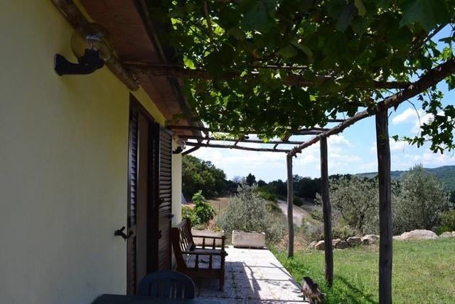 Vendita Multivani, Roccastrada foto