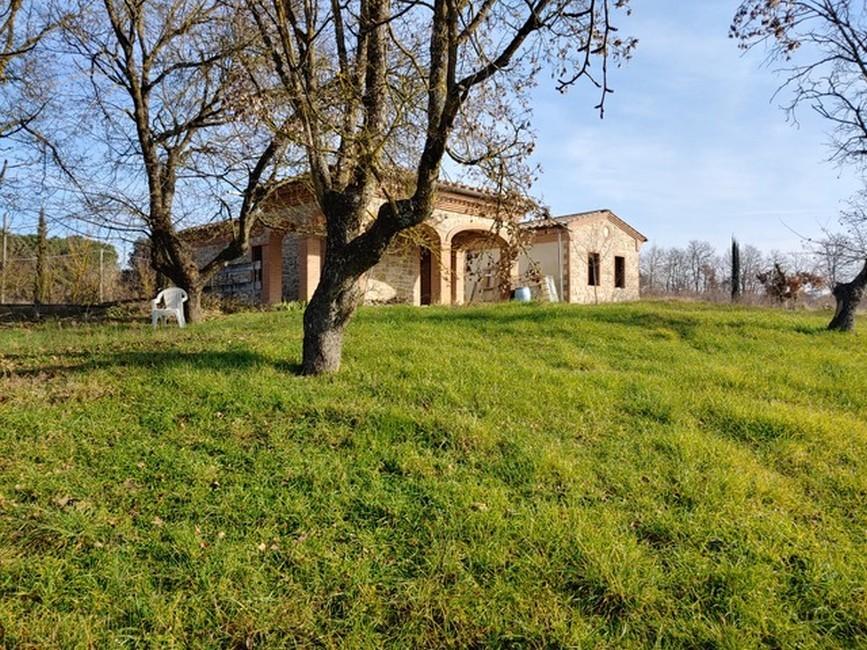 Vendita Multivani, Sinalunga foto