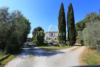 Sale Eptavani, Magliano in Toscana