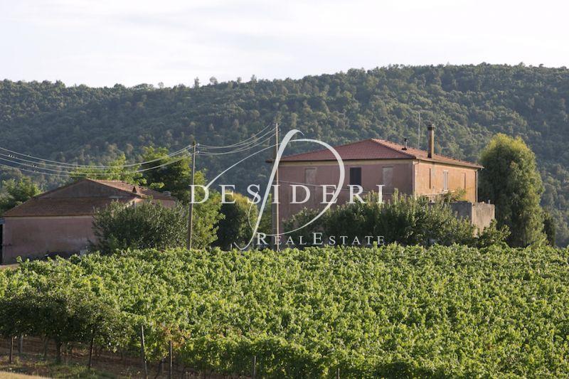 Vendita Multivani, Magliano in Toscana foto