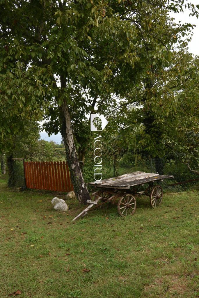 Vendita Trivani, San Fior foto