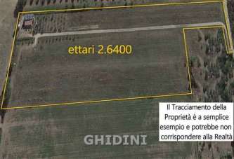 Sale Roomed, Grosseto