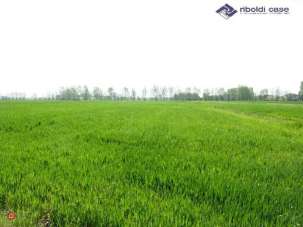 Venta Casas, Cornegliano Laudense