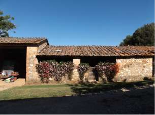 Vendita Multivani, Sovicille