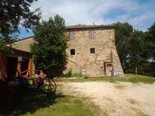 Vendita Multivani, Trequanda