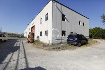 Vendita Trivani, Magliano in Toscana