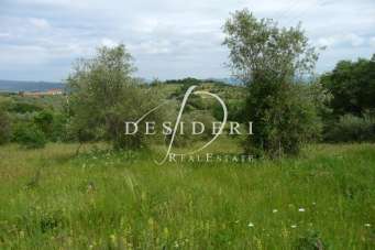 Vendita Altri immobili, Castiglione della Pescaia