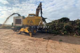 Vendita ATTIVITA', Grosseto