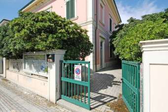 Renta Trivani, Cecina