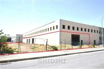 Vendita Bivani, Grosseto