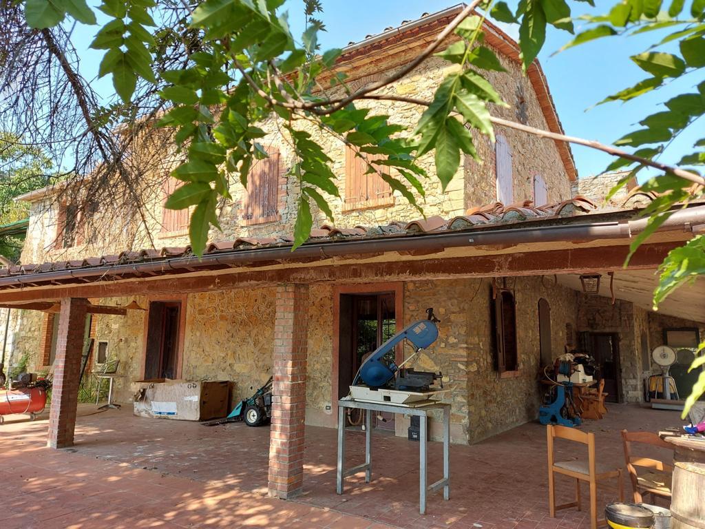 Vendita Multivani, Carmignano foto