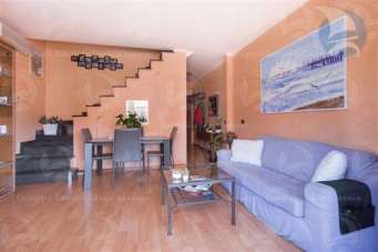 Vendita Trivani, Alassio