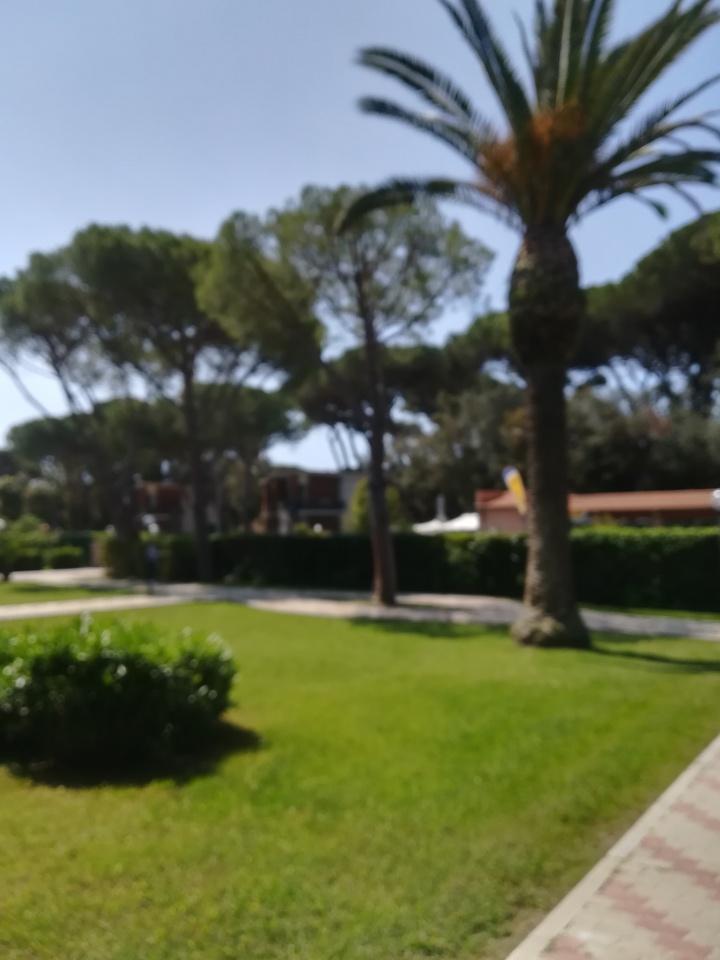 Affitto Ville, Follonica foto